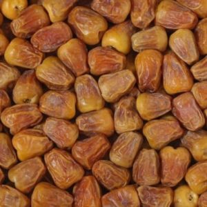 كرتون تمر سكري ( أكثر من ٣ كراتين )